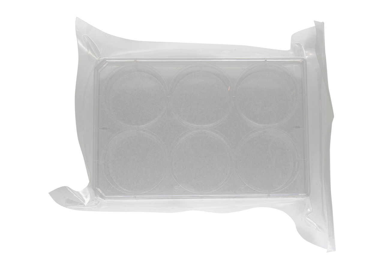 6-Wells Cell Culture Plates | TC-Treated - Piplab